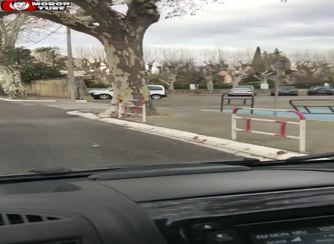 Video :A wild boar attempts to enter an Intermarch&eacute;, Gard